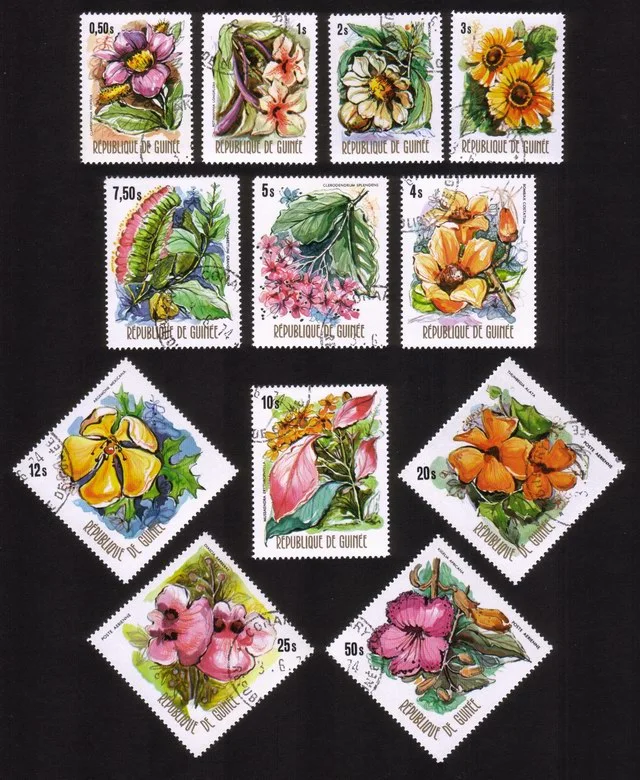 Various Flowers: Clappertonia Ficifolia, Kigelia Africana, Etc. Cplt Set of 12