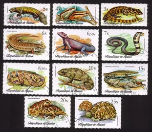 Reptiles & Snakes: Tortoises, Crocodiles, Toads, Skinks, Etc. Cplt Set of 11