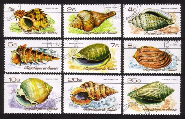 Sea Shells: Hexaplex Hoplites, Perrona Lineata, Harpa Doris, Etc. Cplt Set of 9