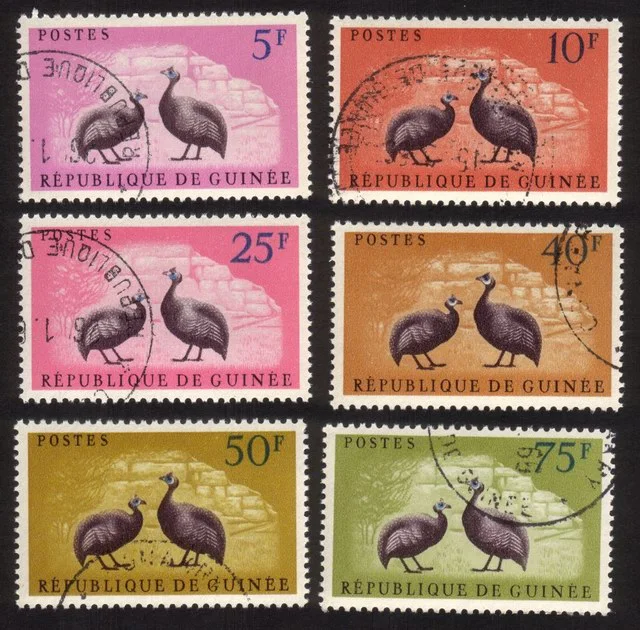 Birds: Gray-Breasted Helmet Guinea Fowl: Colored Backgrounds. Cplt Set of 6 Diff