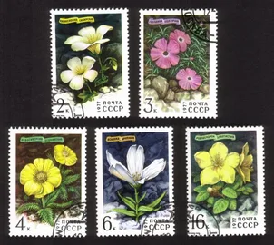 Siberian Flowers: Golden Rhododendron, Dianthus Repena, Etc. Cplt Set of 5 Diff