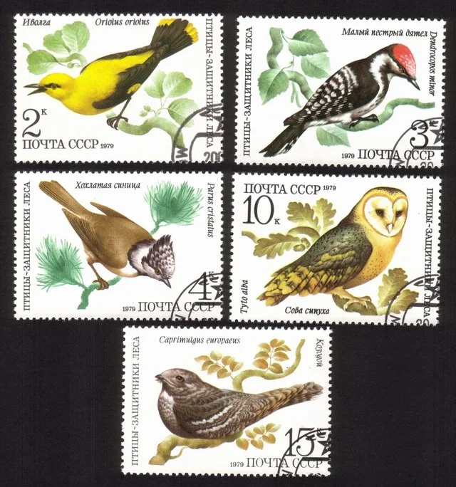 Birds: Barn Owl, Dendrocopus Minor, Parus Cristatus, Etc Complete Set of 5 Diff