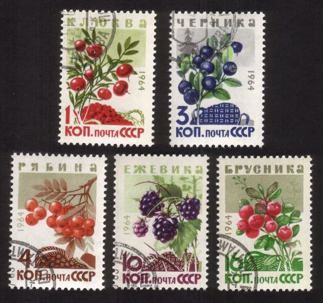 Wild Berries: European Cranberries, Mountain Ash, Huckleberries... Cplt Set of 5