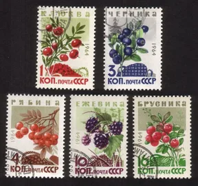 Wild Berries: European Cranberries, Mountain Ash, Huckleberries... Cplt Set of 5