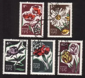 Flowers: Poppies, Daisies, Peony, Carnations, Tulips - Complete Set of 5 Diff.