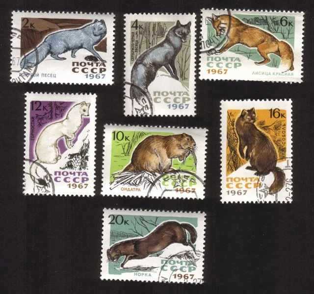 International Fur Auctions In Leningrad: Ermine, Sable, Mink, Etc Cplt Set of 7