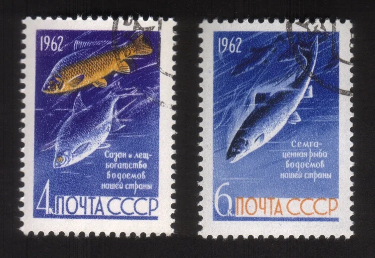 Fish Preservation in The USSR (1962): Freshwater Salmon, Carp, Bream Cplt Set 2