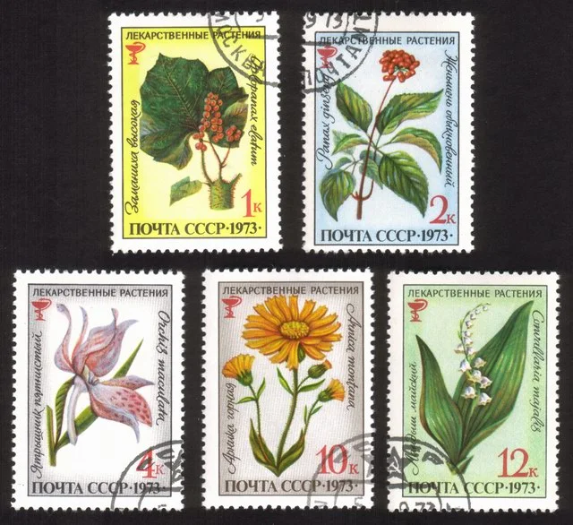 Medicinal Plants: Ginseng, Echinopanax Elatum, Etc. - Complete Set of 5 Diff.