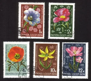 Flora of The USSR (1974): Morning Glory, Tulip, Poppy, Etc. Cplt Set of 5 Diff