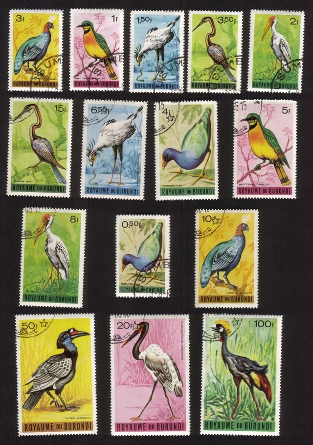 Birds: African Purple Gallinule, Yellow-Billed Stork, Etc. Complete Set of 15.