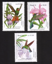 Orchids & Hummingbirds: Colibri Serrirostris, Cattleya Warneri... Cplt Set of 3