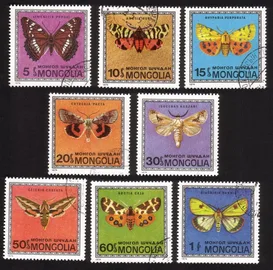 Butterflies: Complete Set of 8 Different