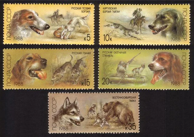 Hunting Dogs: Russian Borzoi, Fox Hunt, Kirghiz Greyhound, Etc. Cplt Set of 5.