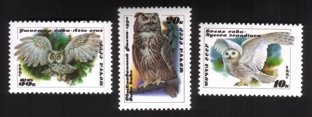 Owls: Nyctea Scandiaca, Bubo Bubo, Asio Otus - Complete Set of 3 Different