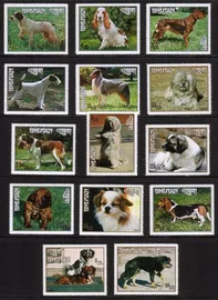Dogs: Pointer, Irish Setter, Lhasa Apso, Dochi, Damci, Boxer... Cplt Set of 14