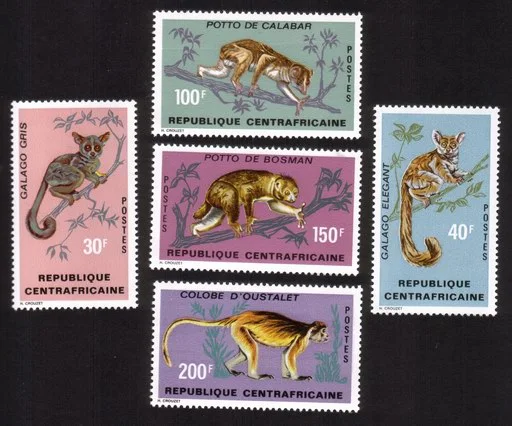 Primates: Colobe D'Oustalet, Potto De Bosman, Gray Galago, Etc. Cplt Set of 5.