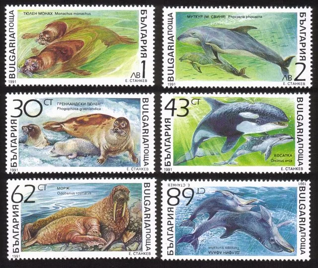Marine Mammals: Monk Seal, Walrus, Porpoise, Whales, Etc Complete Set of 6 Diff
