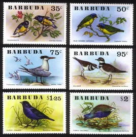 Birds: Royal Tern, Killdeer, Cowbird, Gallinule, Euphonia, Etc. Cplt Set of 6.