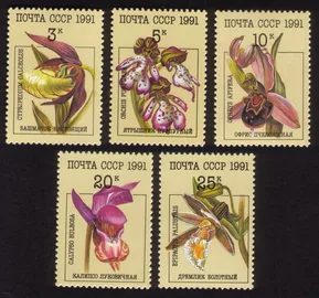 Flora - Orchids: Complete Set of 5 Different Flowers