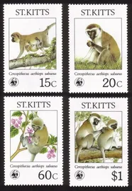 Various Green Monkeys: World Wildlife Fund - Complete Set of 4 Different