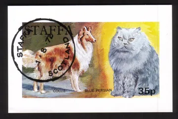 Cat & Dog: Collie Dog & Blue Persian Cat - Mini Souvenir Sheet